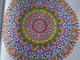 whatsapp bild 2025-04-01 um 18.03.26_7f792ed4